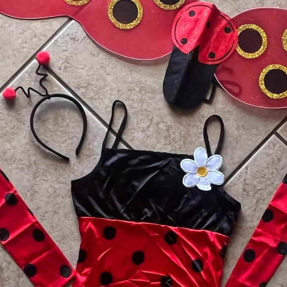Ladybug Costume - Picture 3 of 5